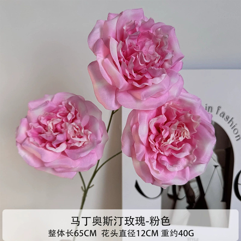Martin Austin rosa-rosa