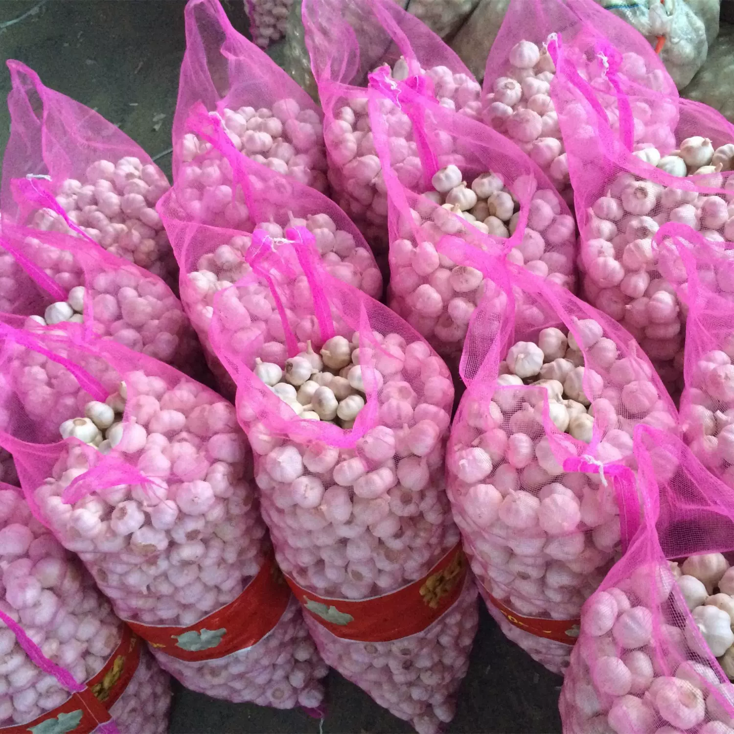 大蒜纯白紫皮蒜5.5公分纸箱网袋包装