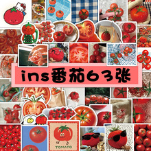 63贴高颜值韩系ins风红色番茄素材手帐贴纸DIY创意手机壳冰箱贴画