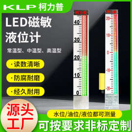 LED 磁敏液位计双色光柱显示电子液位计化工储罐锅炉观察液位仪表