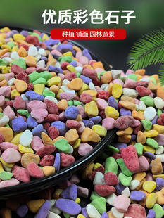 ���ʯ��ɫСʯ�^�Z��ʯ����Сʯ�Ӷ������ʯ�@ˇ�쾰�����b�