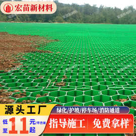 厂家塑料植草格停车场园林绿化河道护坡草坪格消防车道植草格栅