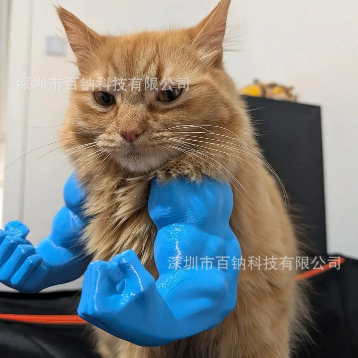 Новый забавный кот с мускулистыми руками