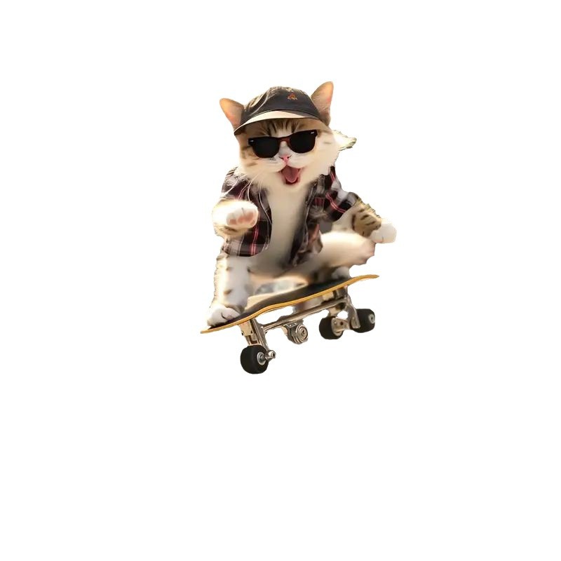 acrylic skateboard