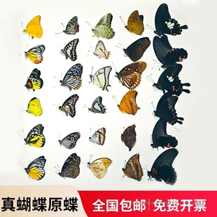 ������˱�ԭ�����lä��δչ��С���x���ֽ̌Wdiy�ֹ������W��