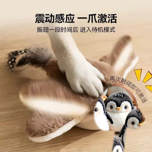 ��؈��늄����B�����Խ␞؈���؈�������ȸë�q�羳С�B