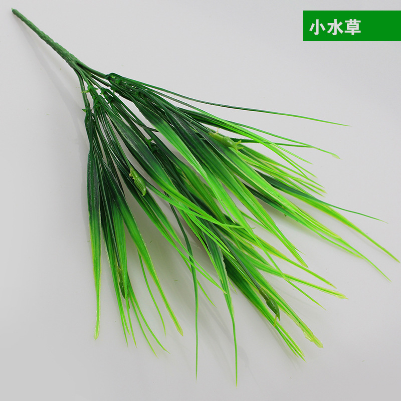 Pequeñas plantas de agua