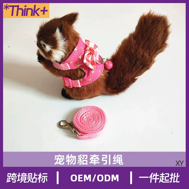 Голландская свинья тяговая морская свинка, морская свинка, карликовый кролик, шиншилл