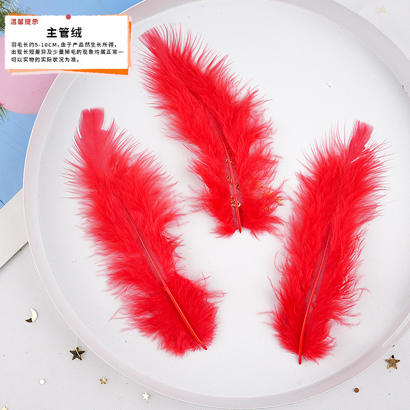 57 メーカーが既製の大きな赤い羽の DIY ジュエリー アクセサリー、衣類、工芸品、装飾材料を供給しています。|undefined