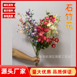 ʯ�񻨷��滨��֦���L�ǿվ��rֲС���Y�Ñc�廨�Ҳ������ߔ[��