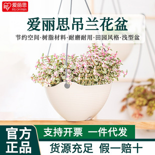 ����˼ZEN���������֬���ϵ��m��������z���̨�G�}�����ٶ���