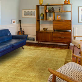 印度进口天丝轻奢地毯客厅沙发卧室床边沙发简约耐脏易打理高级感