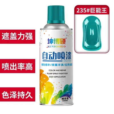 Large Bottle – Avtomobil boyası - self-painting-235-ju-neng-wang-q-one-bottle