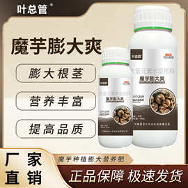 叶总管魔芋膨大爽膨大根茎补充营养提升商品性均匀膨大魔芋专用肥