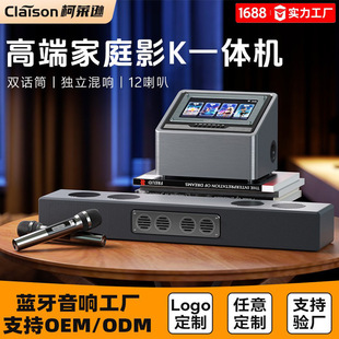 Kolaixun High-end Home 1:1 Restore KTV Audio suit Home Theater K Song All-in-One Karaoke