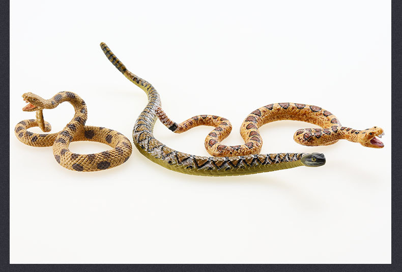 蛇系列-详情图_36.jpg