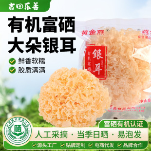 ���ɹ������ЙC�����y�������b �S�����ľ����؛ѩ���oѬ��