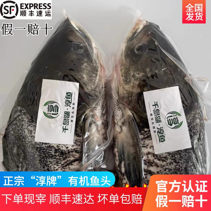 官方认证千岛湖淳牌有机鱼鱼头原生态胖头鱼鲜活淡水鲢鱼活鱼现杀