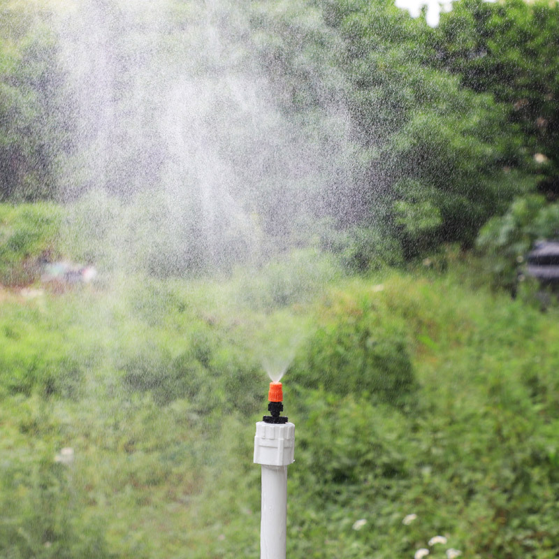 Jardín de la lluvia