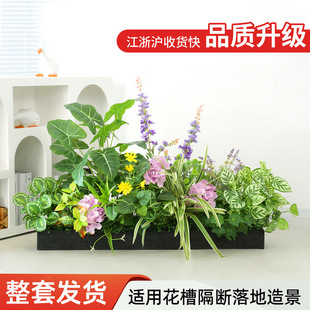 Gֲ쾰۸ػˇֲﾰ^Mϼٻ辰b