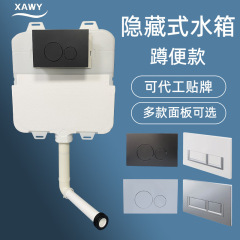 Xawyは家庭用の壁に入れる水タンクを隠してトイレにしゃがみます。