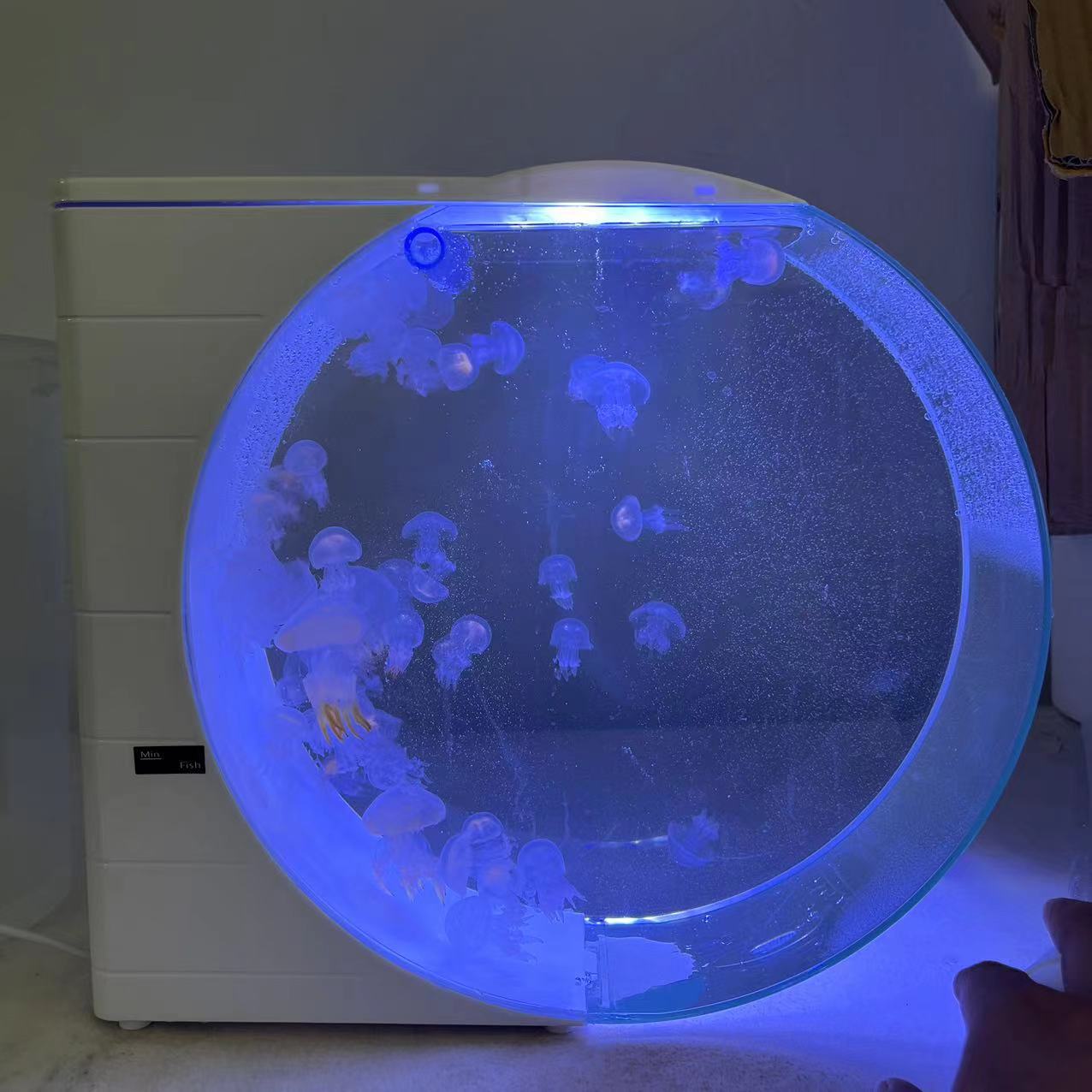 二代水母缸水母专业循环缸灯光展示缸水族养殖缸水族生态鱼缸生日