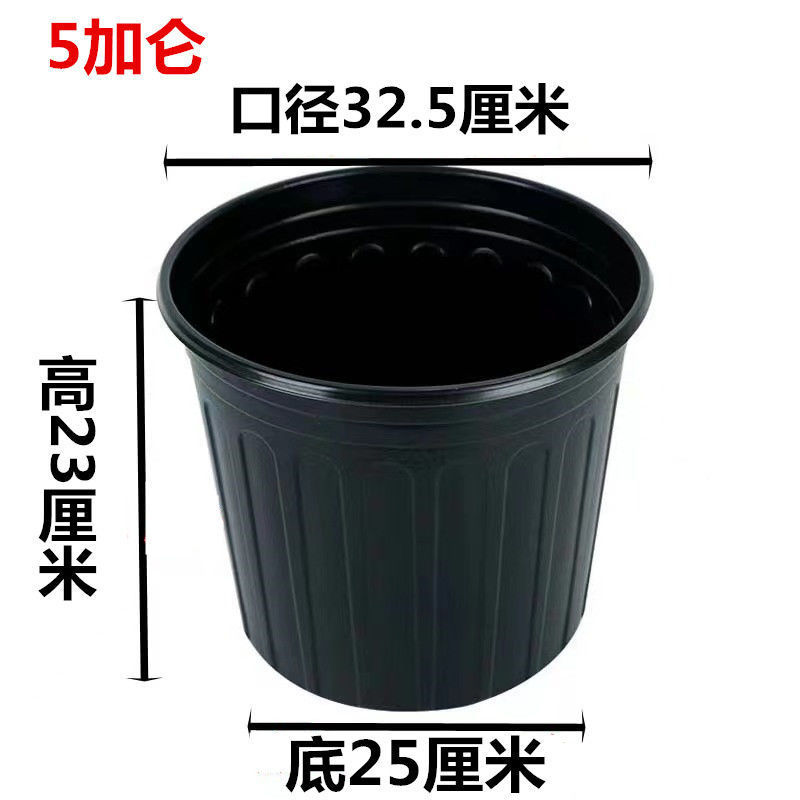 ba30e5b8-11a7-4f8b-b6a4-3aca26f9dd28.jpe