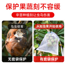 ˮ���״������W��������x���B���ô����ѷ��џo��������͸��W��