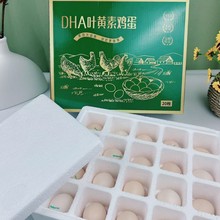 �S�����lDHA�~�S���u��20ö�Y���b�o���u�����N�����u�c�YƷ���]