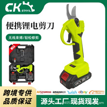 늄Ӽ����늳��ʽ�@ˇ������֦��������늳ؼ�֦�����޼�����