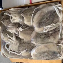 ���l�����ī�~��������10kg�����Ұ������\���ˮ�a���r