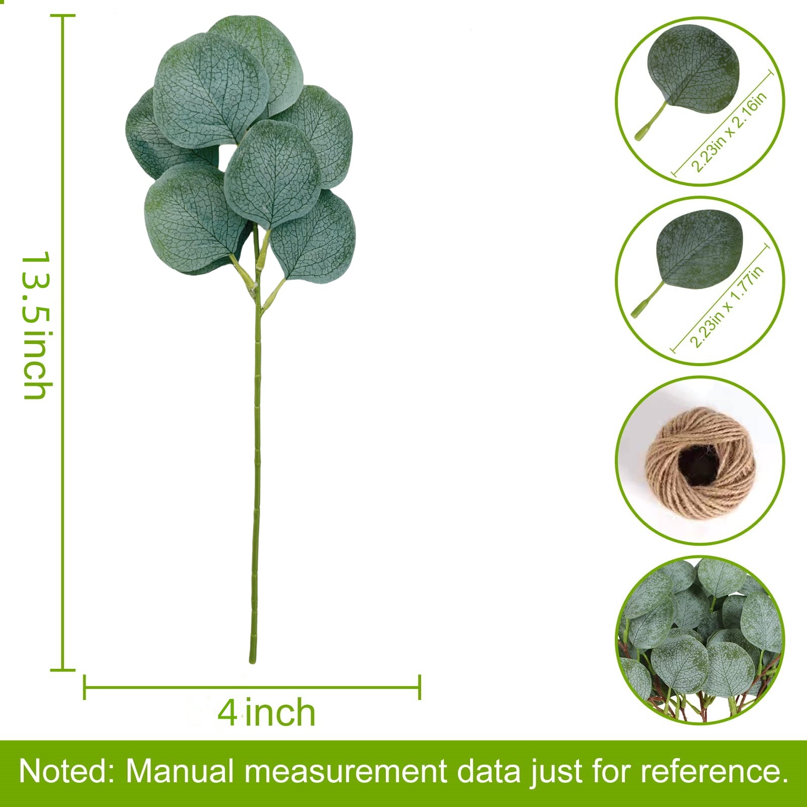 8잎 유칼립투스 잎 단일 가지
