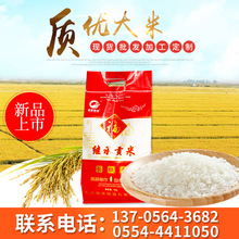 继承贡米5kg煲仔饭大米新米10斤装 丝苗长粒香米籼米 厂家批发