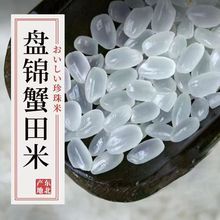 �̽�з�����10�ﶫ���´���������20�����ڵ������׾��������ؼ�