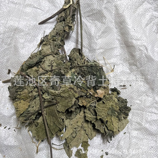 ���~,�����~,�����~,����,���l��ș�Ğ�ɣ��ֲ�����~