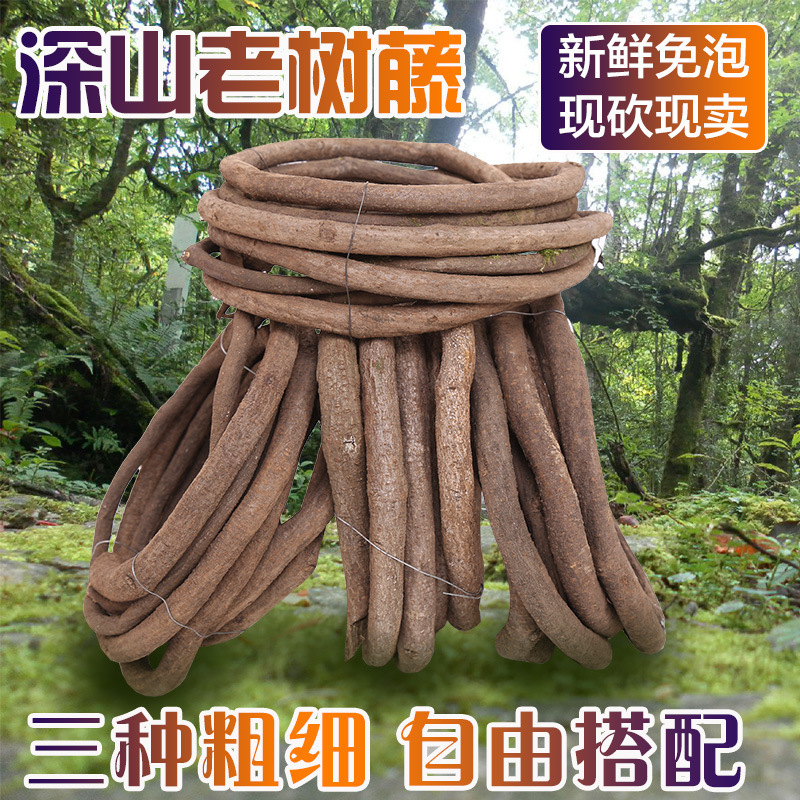 Tree Rattan Dead Rattan Red Mountain Rattan Wedding Shop Home Decoration Tree Rattan Ceiling No Soak Water Real Rattan Decorative Leaves Tree Rattan Dead Rattan Red Mountain Rattan Wedding Shop Home Decoration Tree Rattan Ceiling No Soak Water Real Rattan Decorative Leaves