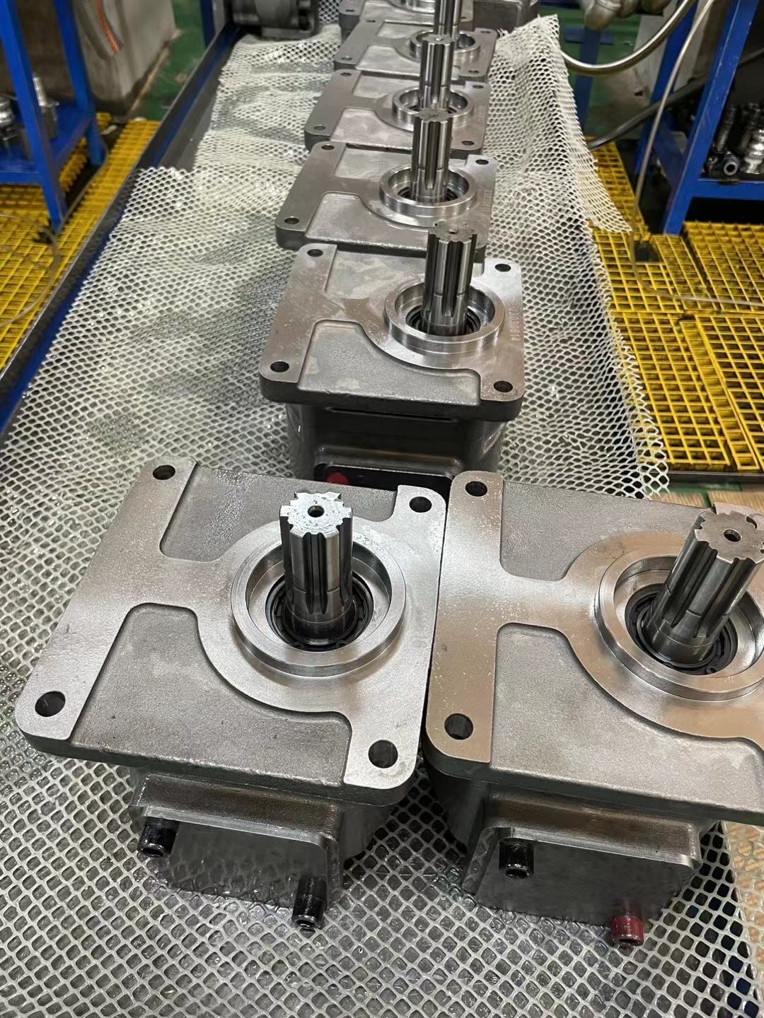 mmexport1680849815306