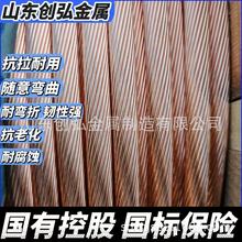 铜编织带1.5-120平方接地线镀锡软铜线裸铜绞线桥架接地线跨接线