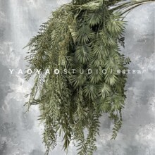 ����Gɫֲ��ٻ����滨�ڒ젝�ڴ����҃��̈��b��ٗl��c���