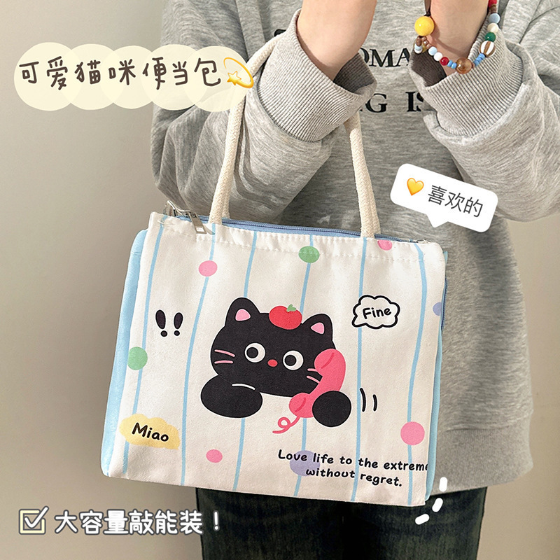 Bolsa de almuerzo de dibujos animados, bolsa de almuerzo de aluminio portátil, bolsa de almuerzo portátil de gran capacidad