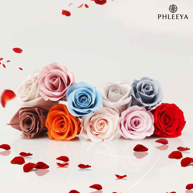 Flor inmortal cabeza de rosa de grado A 2 - 3 cm 21 flores diy material ramo al por mayor regalos de fábrica flores secas al por mayor