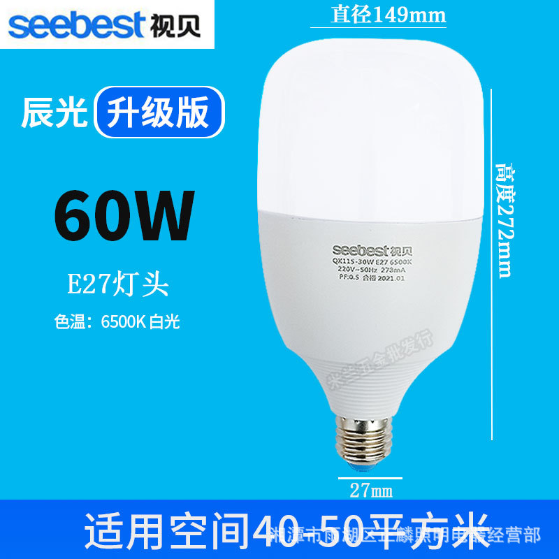 Bulbo 60W