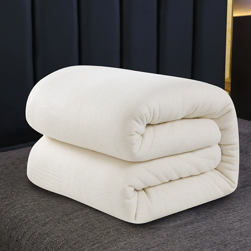 Cotton duvet, winter keep warm universal mattress