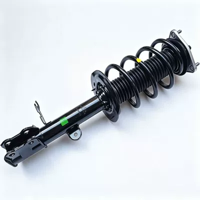assembly 2905104XGW01A 2905105XGW01A – damping system