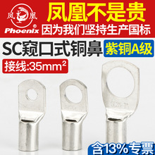 凤凰SC35-6/8/10/12铜接线端子铜接头铜线耳电线电缆铜鼻子国标