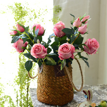 ����ins���ֹ��پ����@���W�Ʉ����ݾ��b��� ����@�Ҿ�