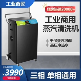 蒸汽清洗机