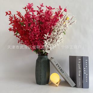 ���滨ӭ���� �Ӽ҈󴺻��ٻ� ���̽������W�L����滨���羳���l