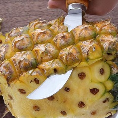 Stainless steel machete, banana knife, small sickle, vegetable cutting, pineapple knife, fruit knife, jackfruit knife, chive cutting knife