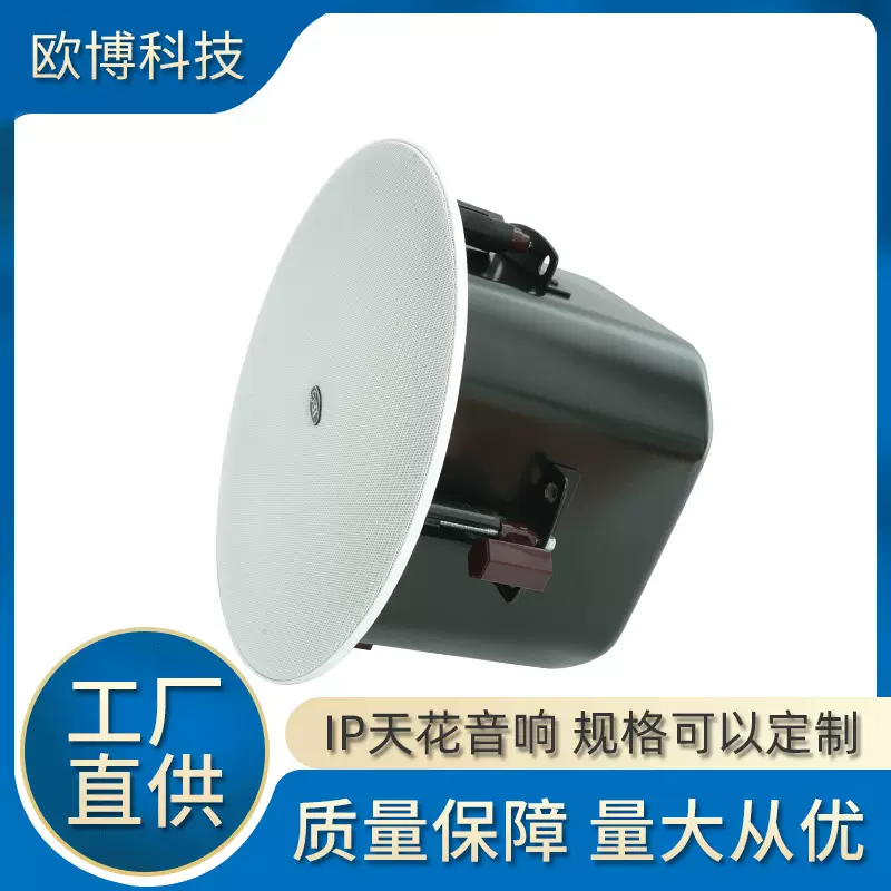 公共广播系统高档豪华室内IP网络天花喇叭IP网络天花音箱现货